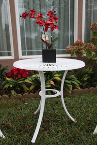 3 Piece Bistro Set C (3PC/D-DS-09BS-70T)