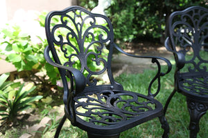 Butterfly Chair (SH045)